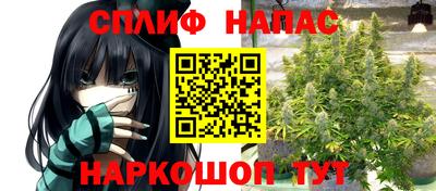 прущие грибы Кулебаки