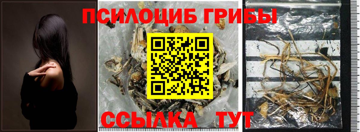 Кирово-Чепецк  продажа наркотиков  Вход с VPN  Галлюциногенные грибы Magic Shrooms 