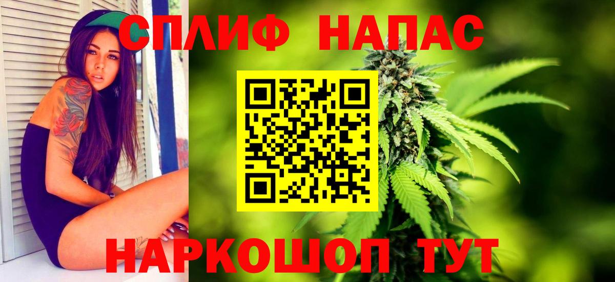 Бошки Шишки семена Кирово-Чепецк